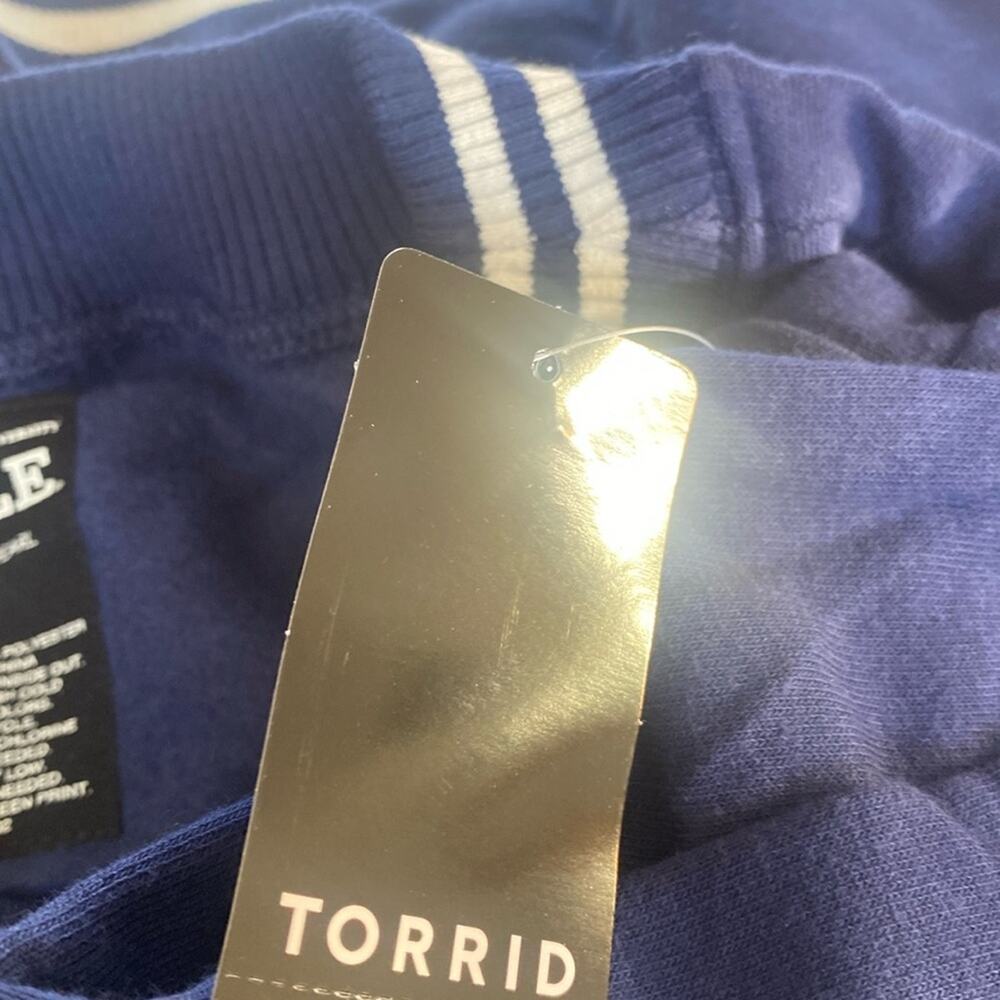 Torrid Yale Cozy Fleece Banded V-Neck Sweatshirt - Picture 4 of 8